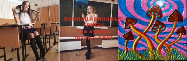 дмт Бронницы