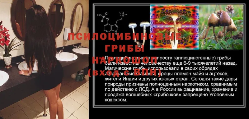 блэк спрут маркетплейс  Вилюйск  Галлюциногенные грибы MAGIC MUSHROOMS 