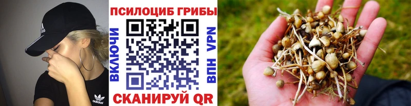 Псилоцибиновые грибы прущие грибы  гидра ТОР  Вилюйск 
